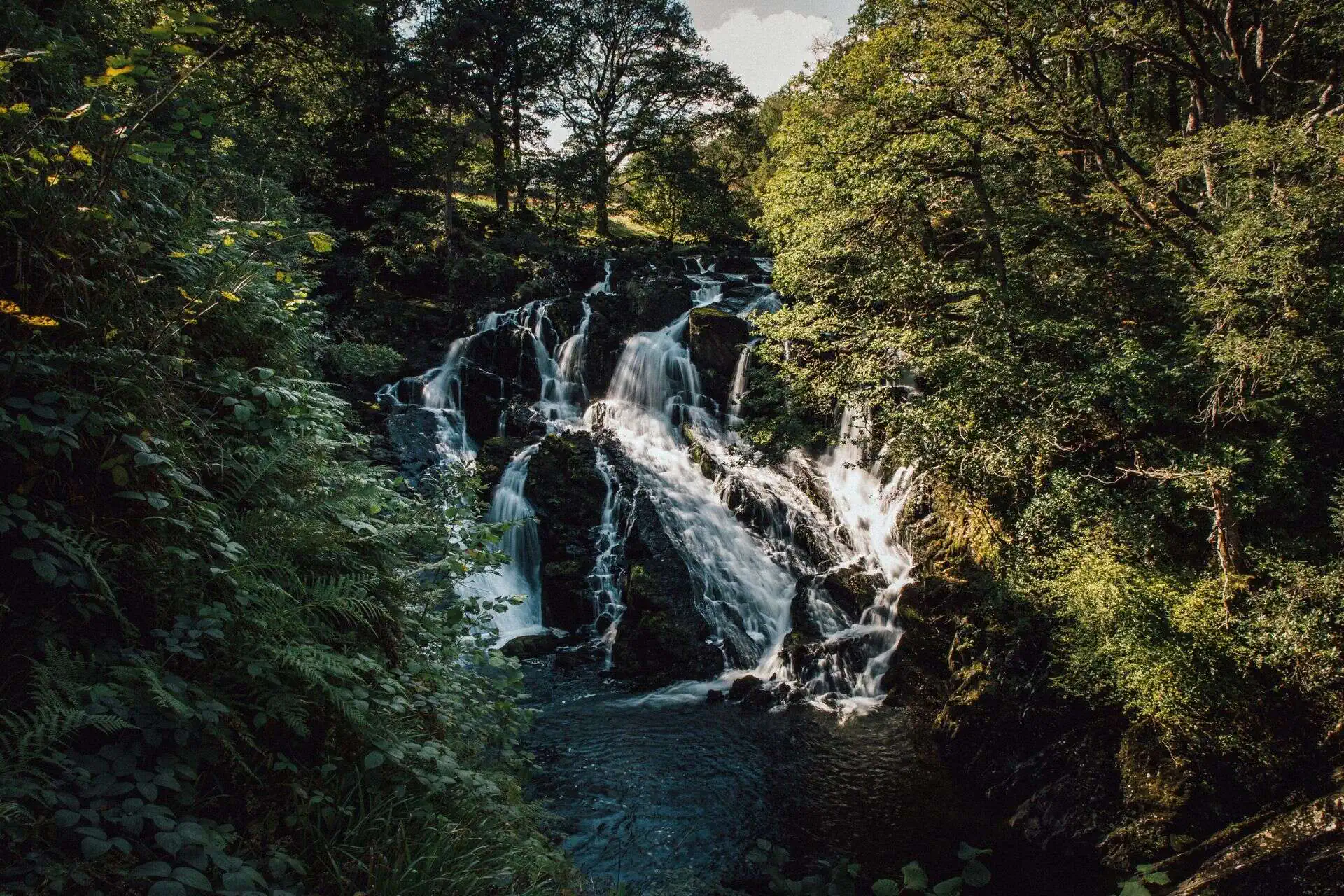 Conwy Valley Getaway | swallow falls Water tumbling down the rocks at Swallow Falls surrounded by verdant trees and vegetation
