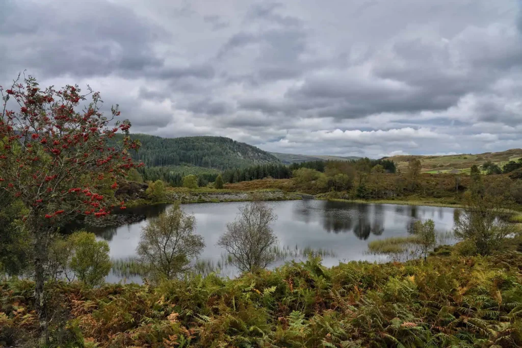 Conwy Valley Getaway | bod bach gwydir forest