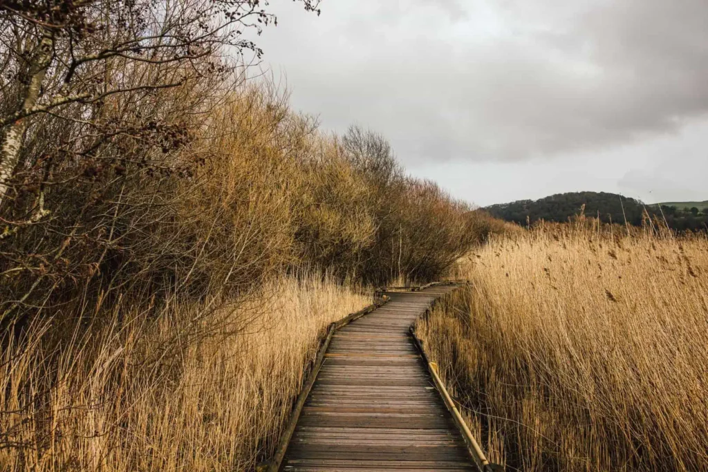 Conwy Valley Getaway | 721236 nvw g112 2425 0277 web optimised 1920px 1 Conwy Valley Getaway | 721236 nvw g112 2425 0277 web optimised 1920px 1