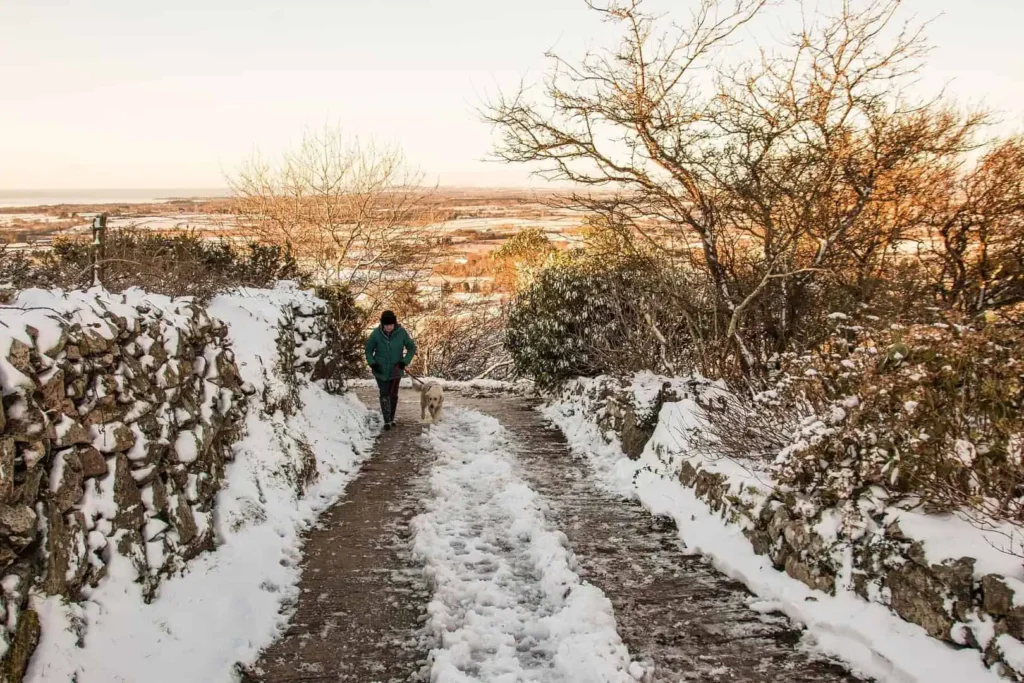 Conwy Valley Getaway | winter 3081632 1920 Person and dog walking along a snow covered track in Eryri (Snowdonia) on a clear winter's day.