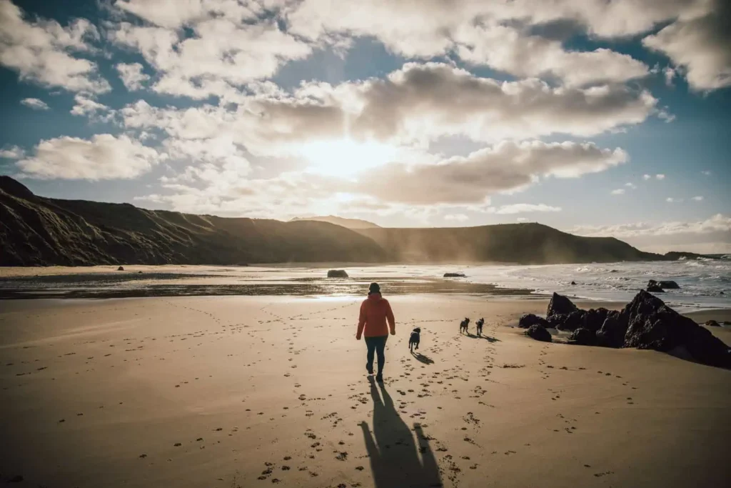 Conwy Valley Getaway | 34080 nvw e14 2122 0550 web optimised 1920px dog and owner walking on Whistling Sands beach in North Wales