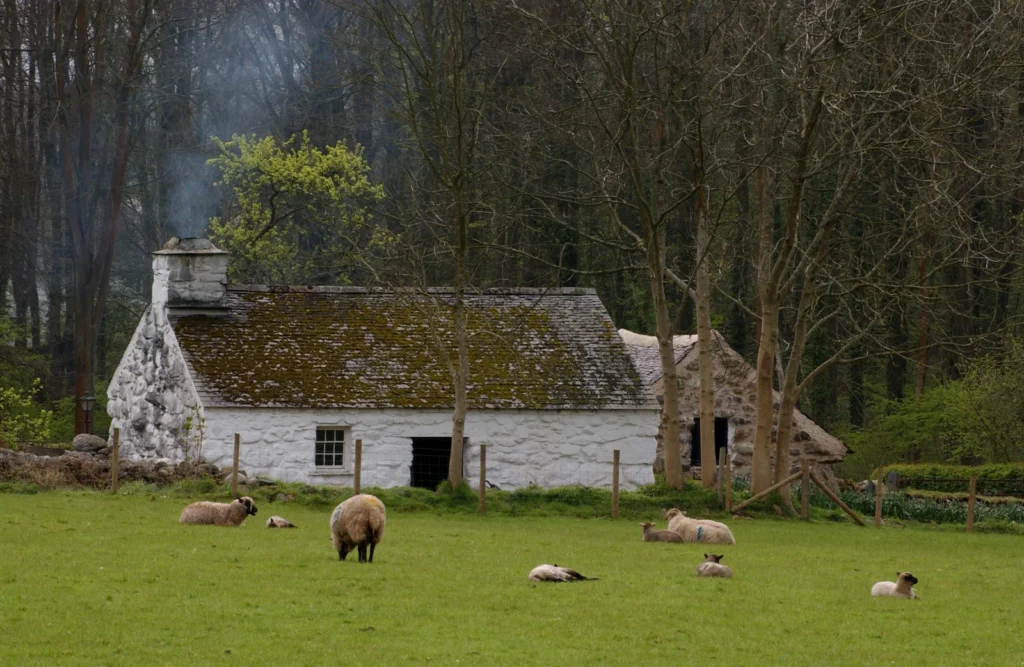 Conwy Valley Getaway | Llainfadyn Cottage Conwy Valley Getaway | Llainfadyn Cottage