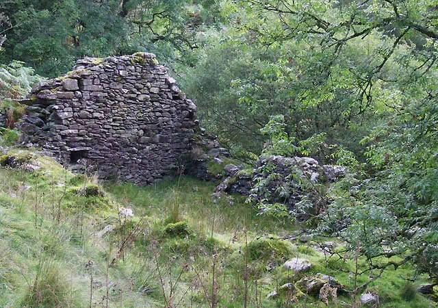Conwy Valley Getaway | Ruined Farmhouse Nant Carfan Ceredigion geograph.org .uk 565595 Ruined farmhouse, Nant Carfan, Ceredigion with the appearance of a former Ty Unnos (One night house)