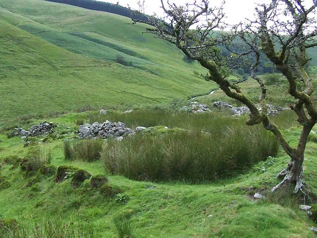 Conwy Valley Getaway | Ty Unnos at Nant y Benglog Cwm Doethie Ceredigion geograph.org .uk 512104 The remains of a traditional stone Tŷ Unnos located at Nant y Benglog, Cwm Doethie, Ceredigion