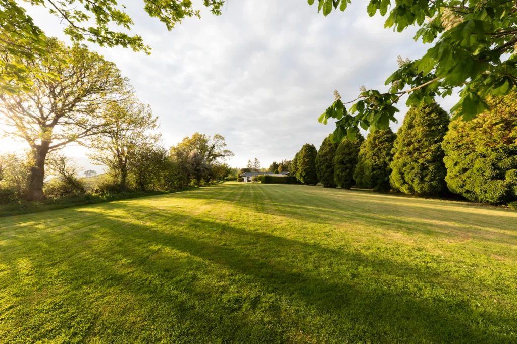 Conwy Valley Getaway sweeping lawn with mature tree and Fig Tree and Laurel cottages in the distance