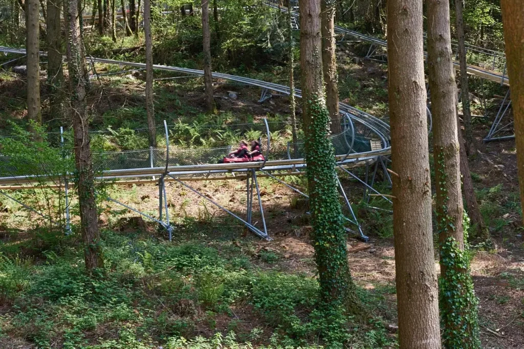 Fforest Coaster winding through woodland at Zip World Betws-y-Coed