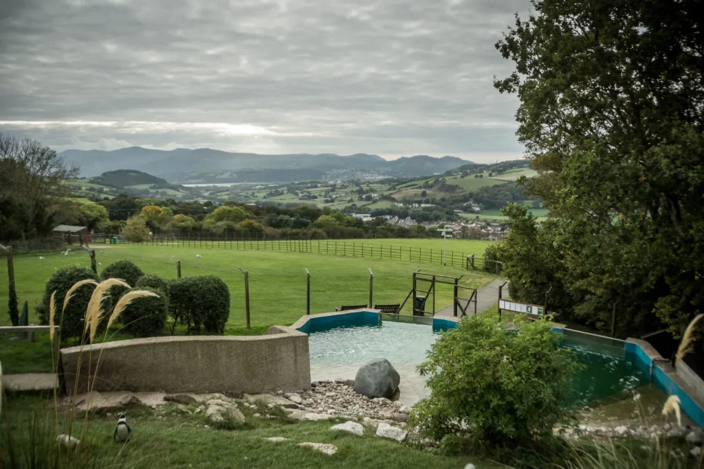 Wide view across Welsh Mountain Zoo's hillside site above Colwyn Bay